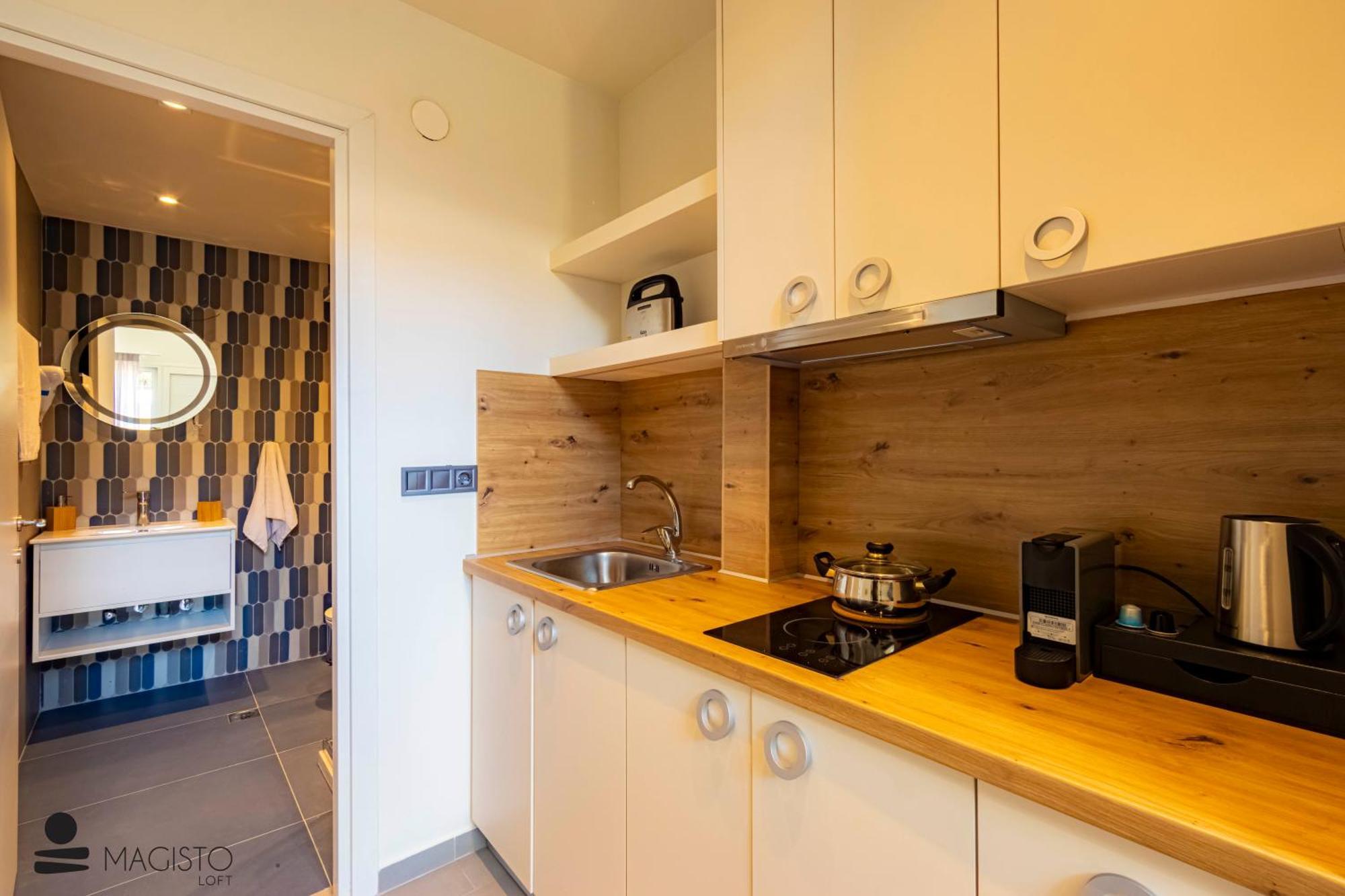 Apartment Magisto Loft *